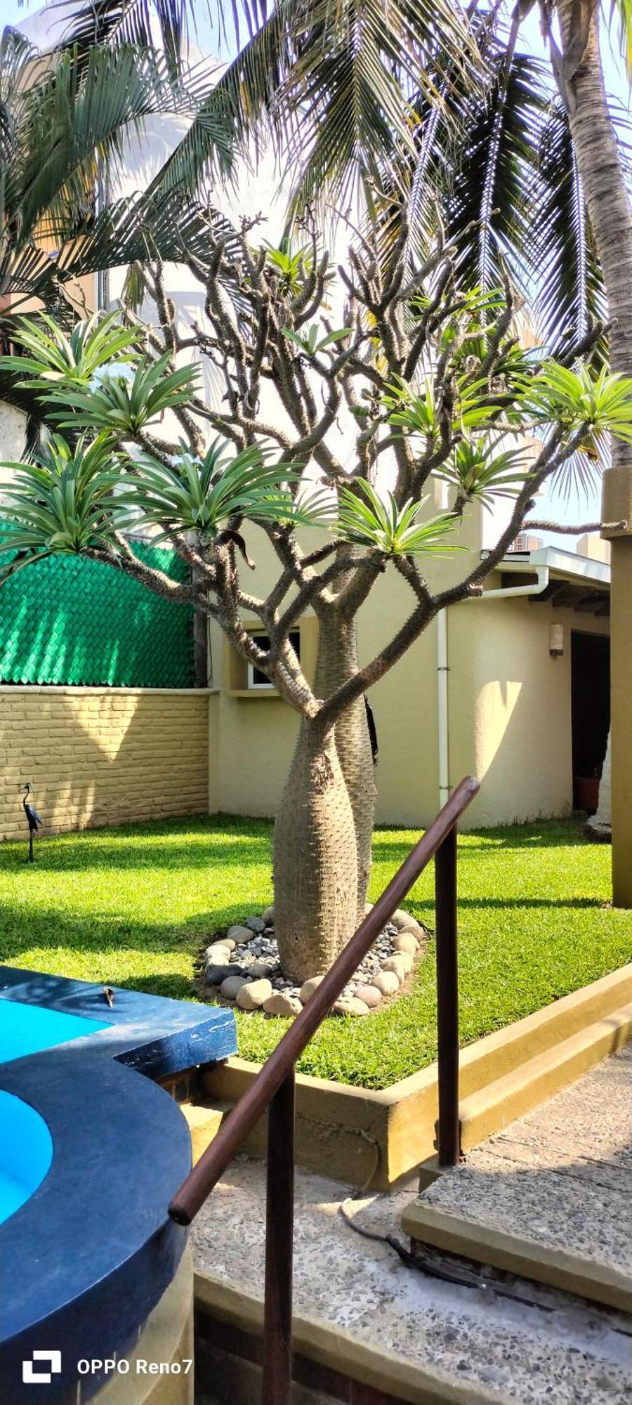 Villas Miramar Zihuatanejo Exterior foto